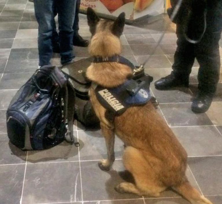 seguridad