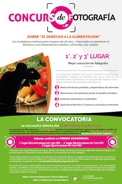 CARTEL_CONVOCATORIA_FOTO_COCOA.