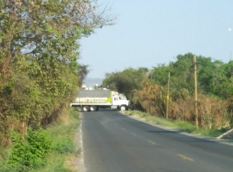 seguridad