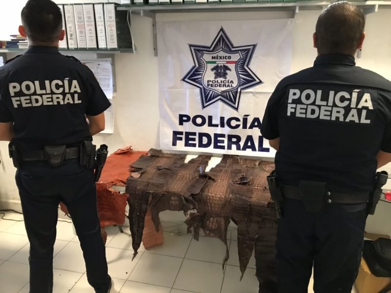 seguridad
