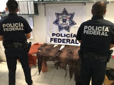 seguridad