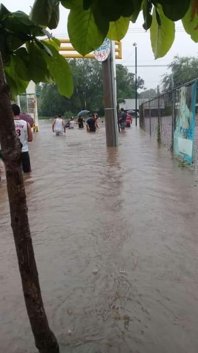 WhatsApp Image 2018-06-18 at 19.01.28
