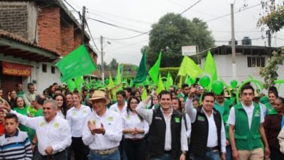 Verde ecologista