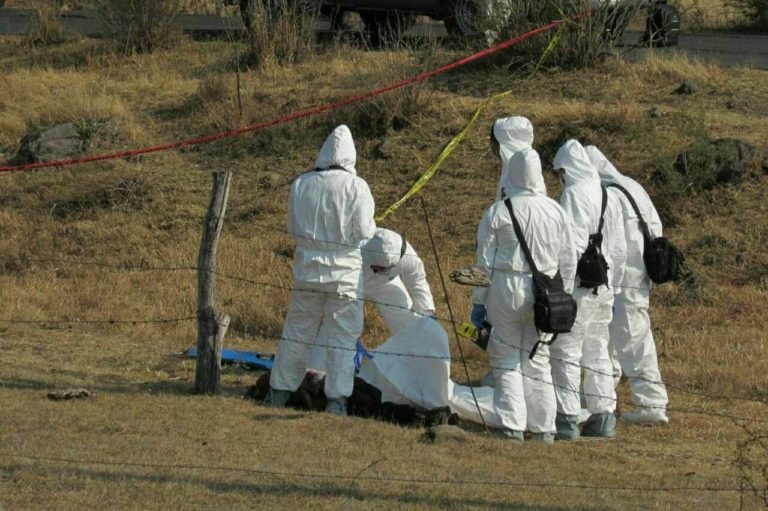 seguridad