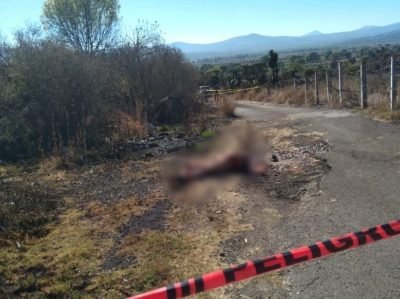 seguridad