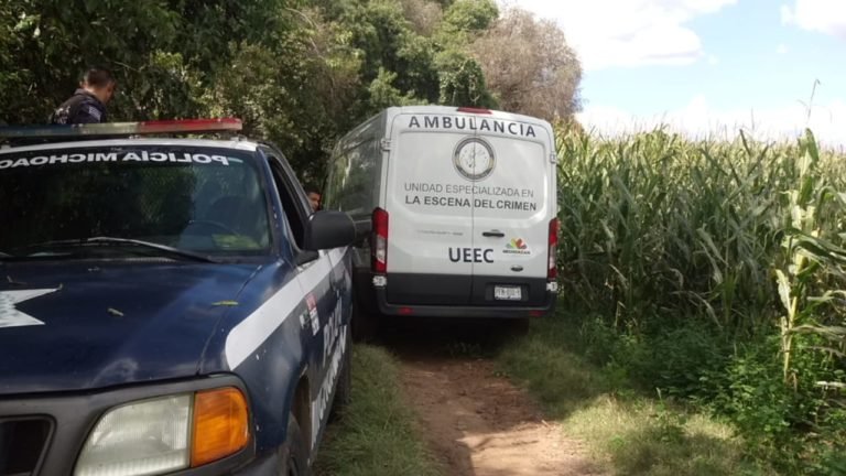 seguridad