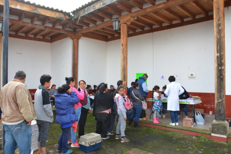 esteriliaciñon