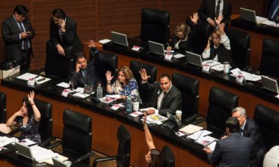 senado