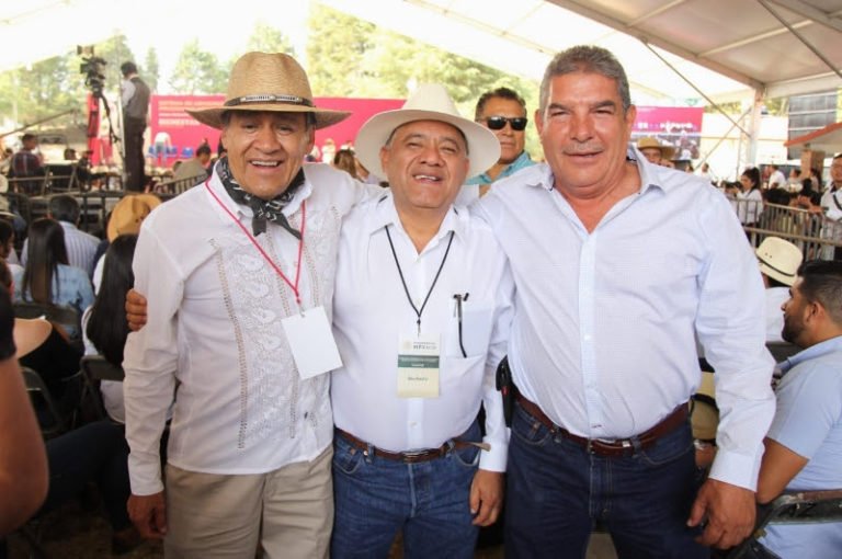 diputados de Morena