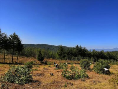 seguridad ambiental