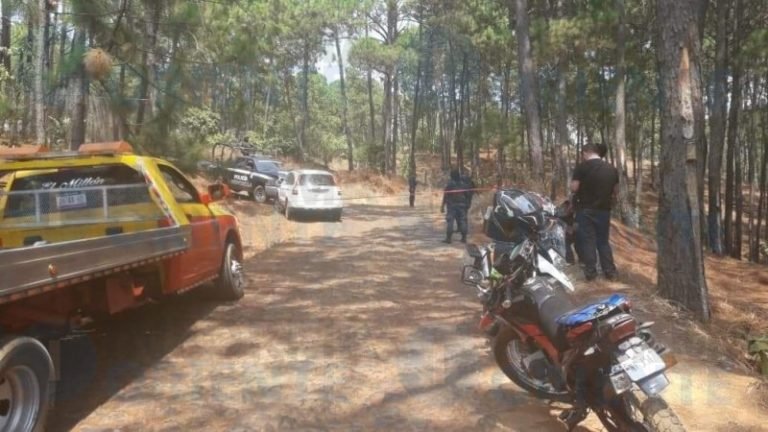 seguridad