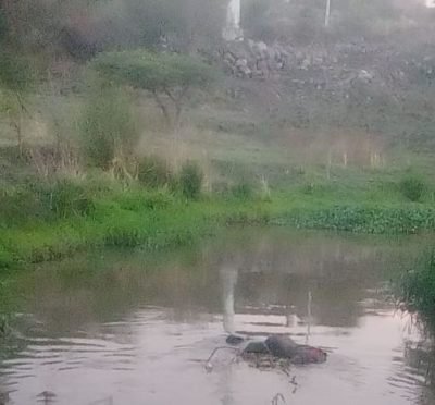 seguridad