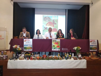 Feria de Sengui