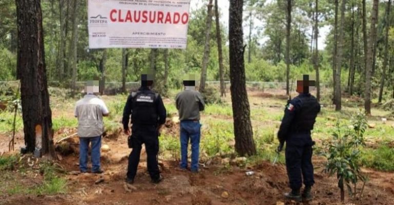 clausuran-huertas-de-aguacate-800x506-atiempo.mx_-780x405