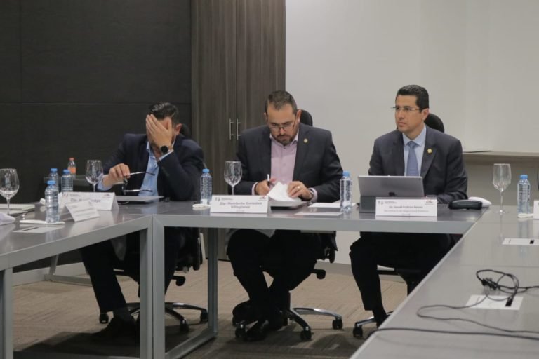 Diputados y SsP