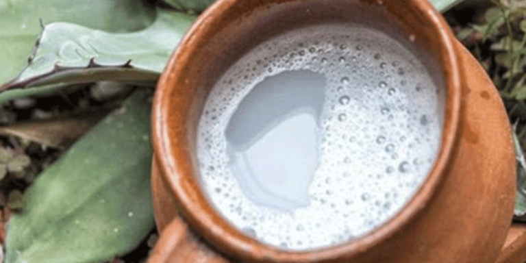 pulque
