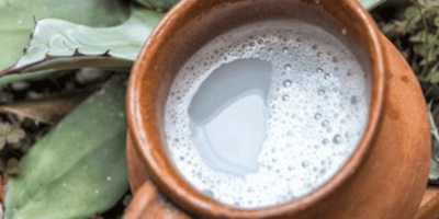 pulque