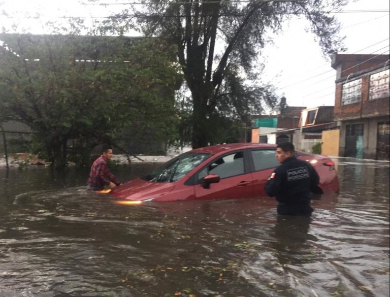 seguridad