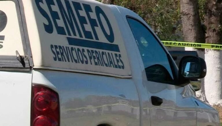 seguridad