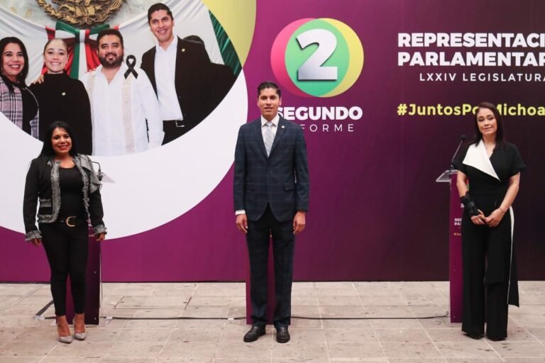 javier paredes informe