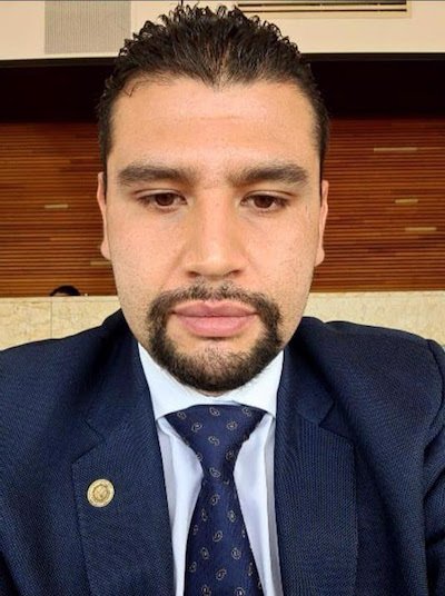 diputado