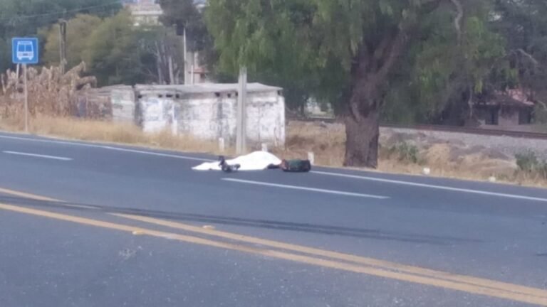 seguridad