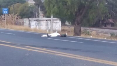 seguridad