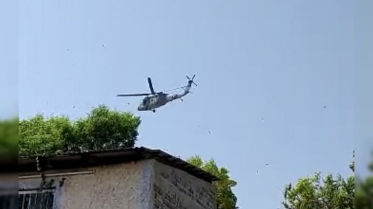 seguridad