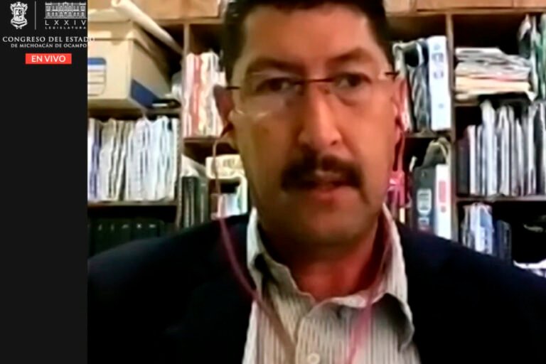 diputados