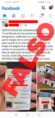 falsos certificados