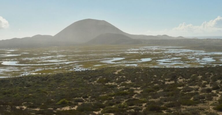 profepa-oficinas-baja-california-areas-naturales-1024x529