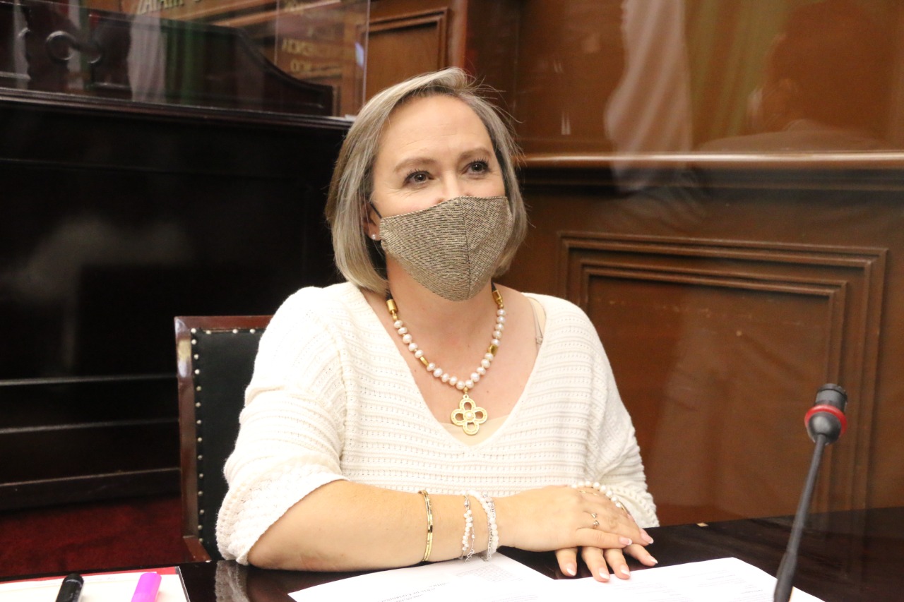 diputada rocio