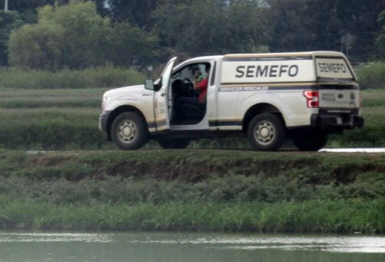 seguridad