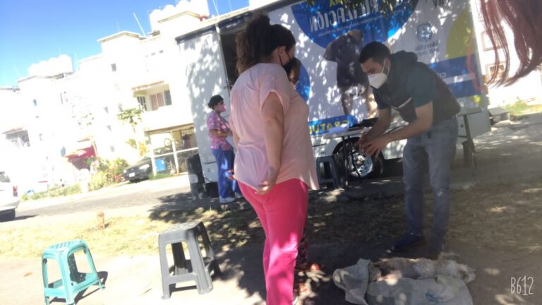 esterilización