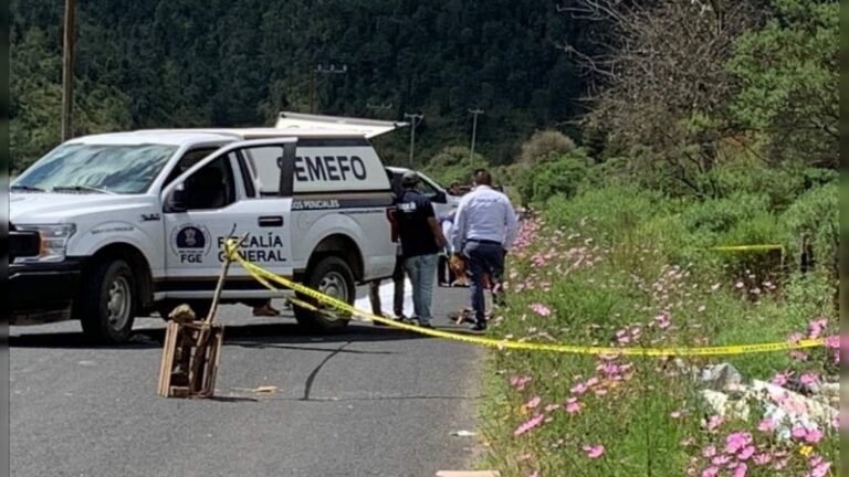 seguridad