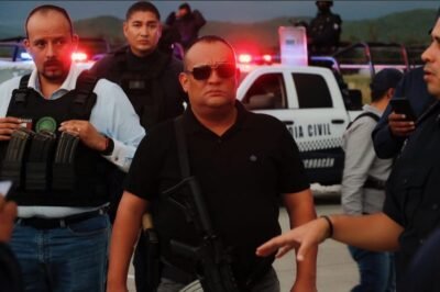 seguridad