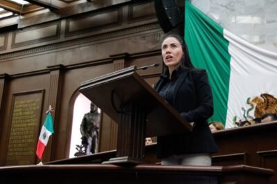 Fanny Diputada