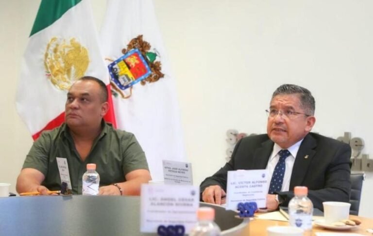 seguridad vistas patrias