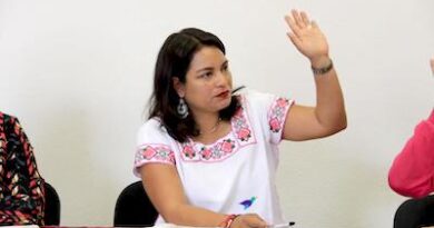 Se traza ruta para análisis de Leyes de Ingresos, firme el apoyo a economía familiar, dice Eréndira Isauro Hernández