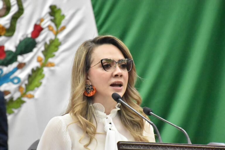 diputada samnta