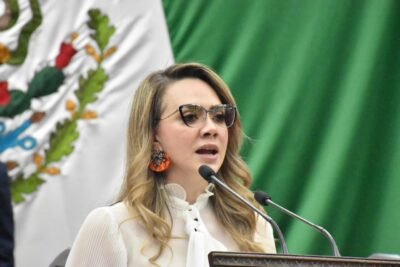 diputada samnta
