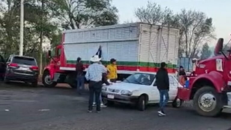 seguridad