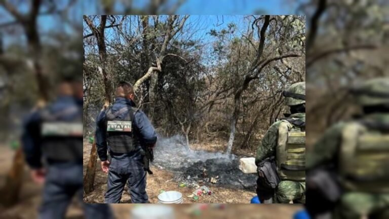 seguridad