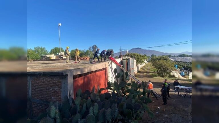 seguridad