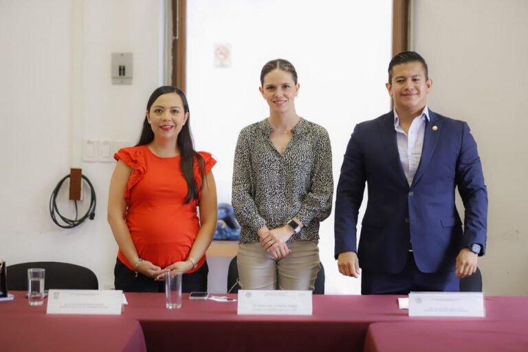 diputados