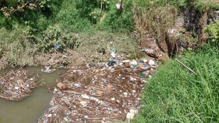 basura 2