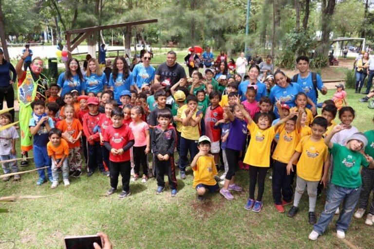 curso de verano
