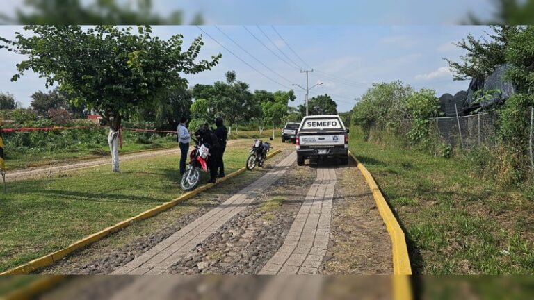 seguridad