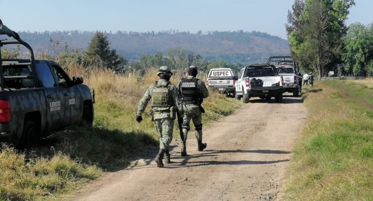 seguridad que