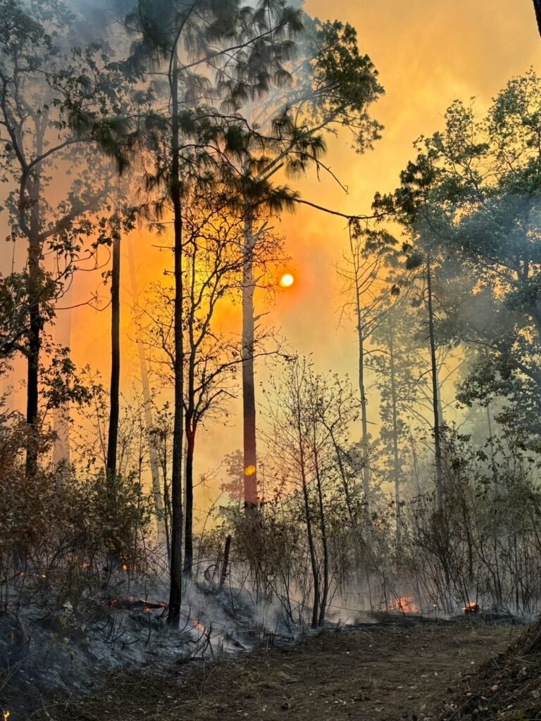 incendio